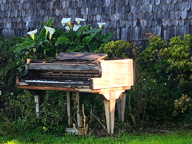 Piano.at.Coast